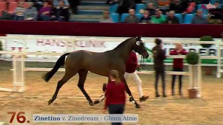 Zinetino v. Zinedream x Glenn Alme x Mentor