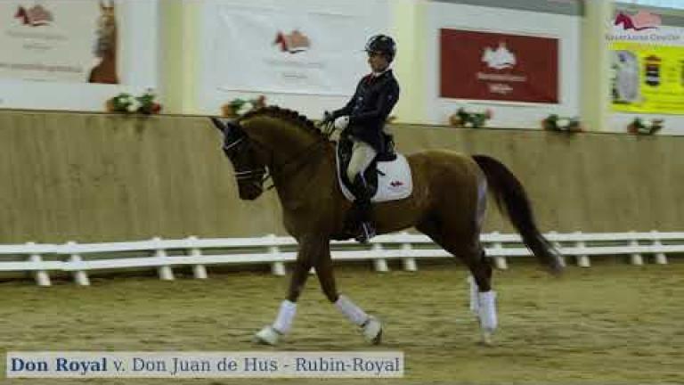 Don Royal v. Don Juan de Hus x Rubin Royal x Gotland