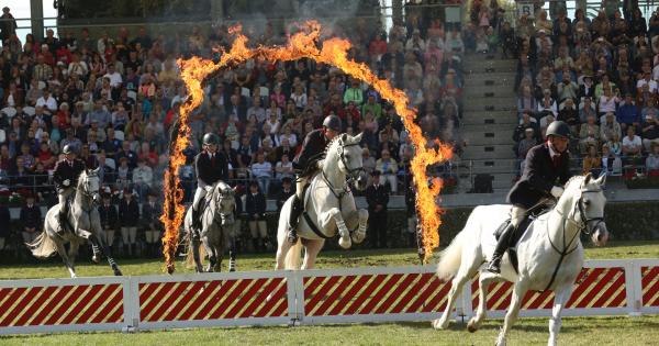 Hengstparaden Mit Tollem Start | Brandenburgisches Haupt- Und ...