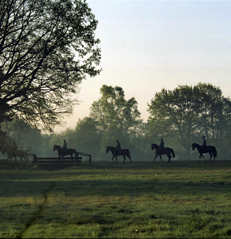 gestuetsweg_reiter