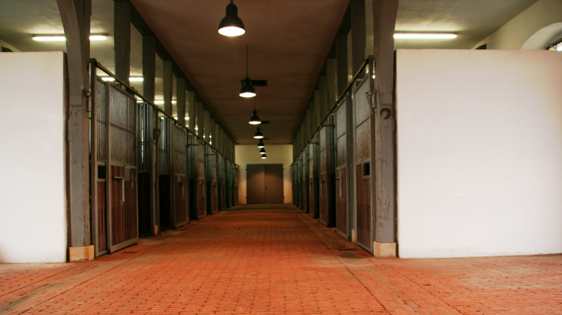 Webbild Unterkunft Pferd (2)