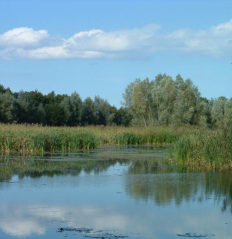neustadt_umgebung