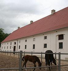 38er_stall