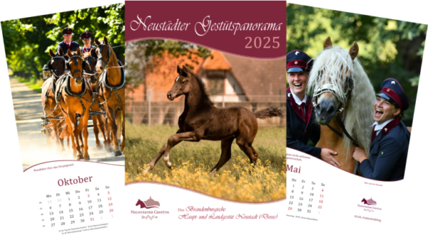 Neustädter Gestütspanorama - Gestütskalender 2025