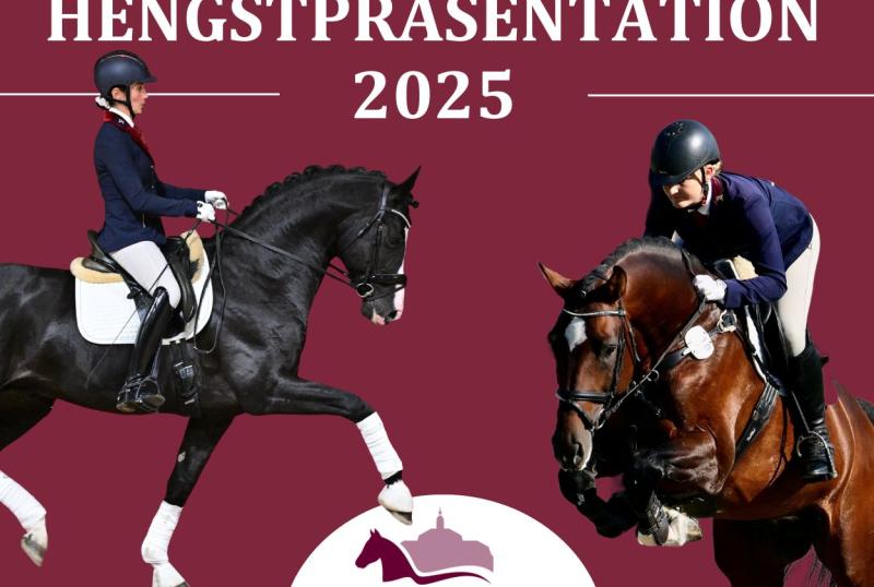 Große Hengstpräsentation 2025