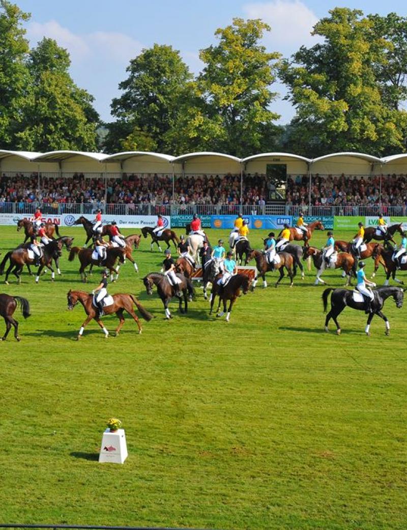Schaubild Reiten in der Schule Hengstparade_2015_Foto_Schroeder_413_8498