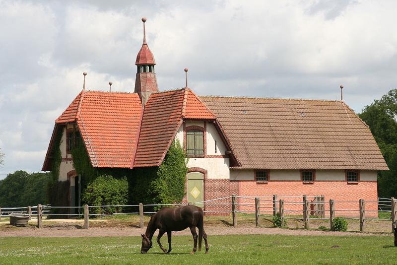 schlueterpaddock_gross