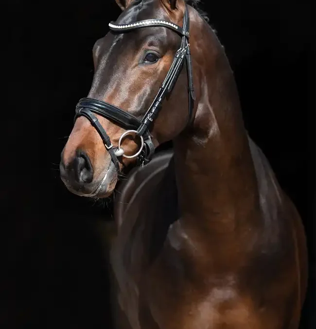 Queraz