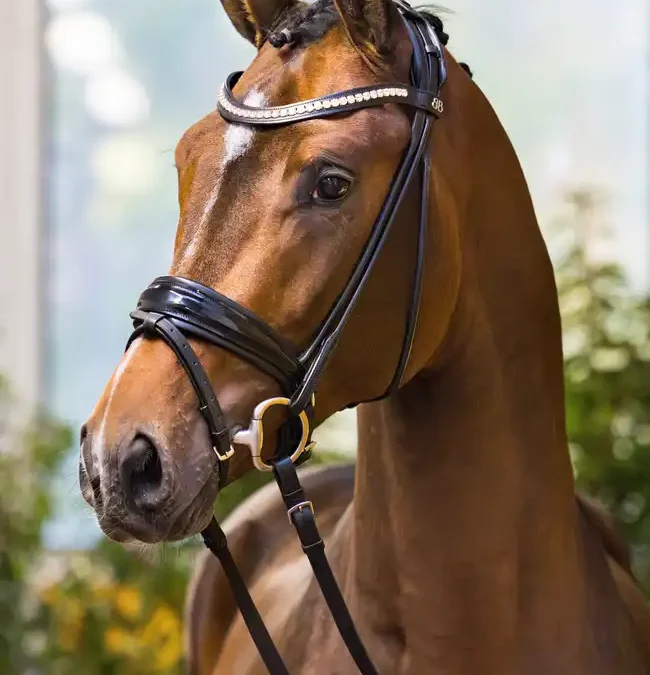 San Valentino