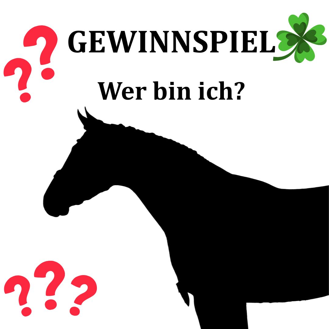 Gewinnspiel