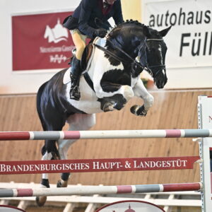 Springlehrgang mit Siegmar Stroehmer – Fit für die Hallensaison!