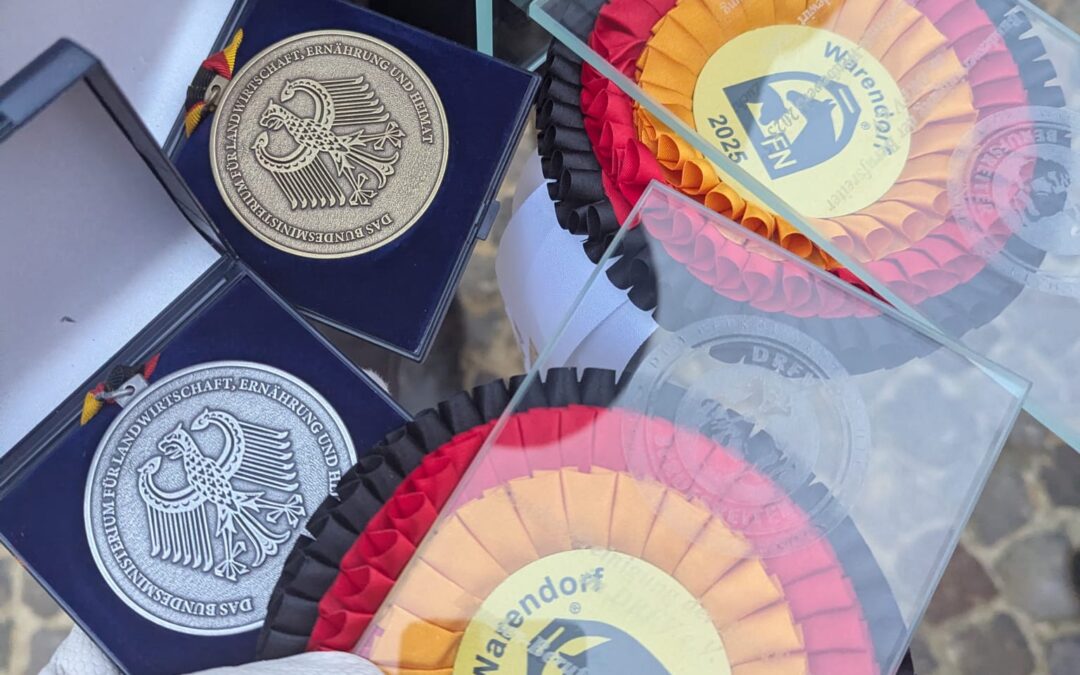 Medaillen von dem Bundesberufswettbewerb - Platz 2 & 3
