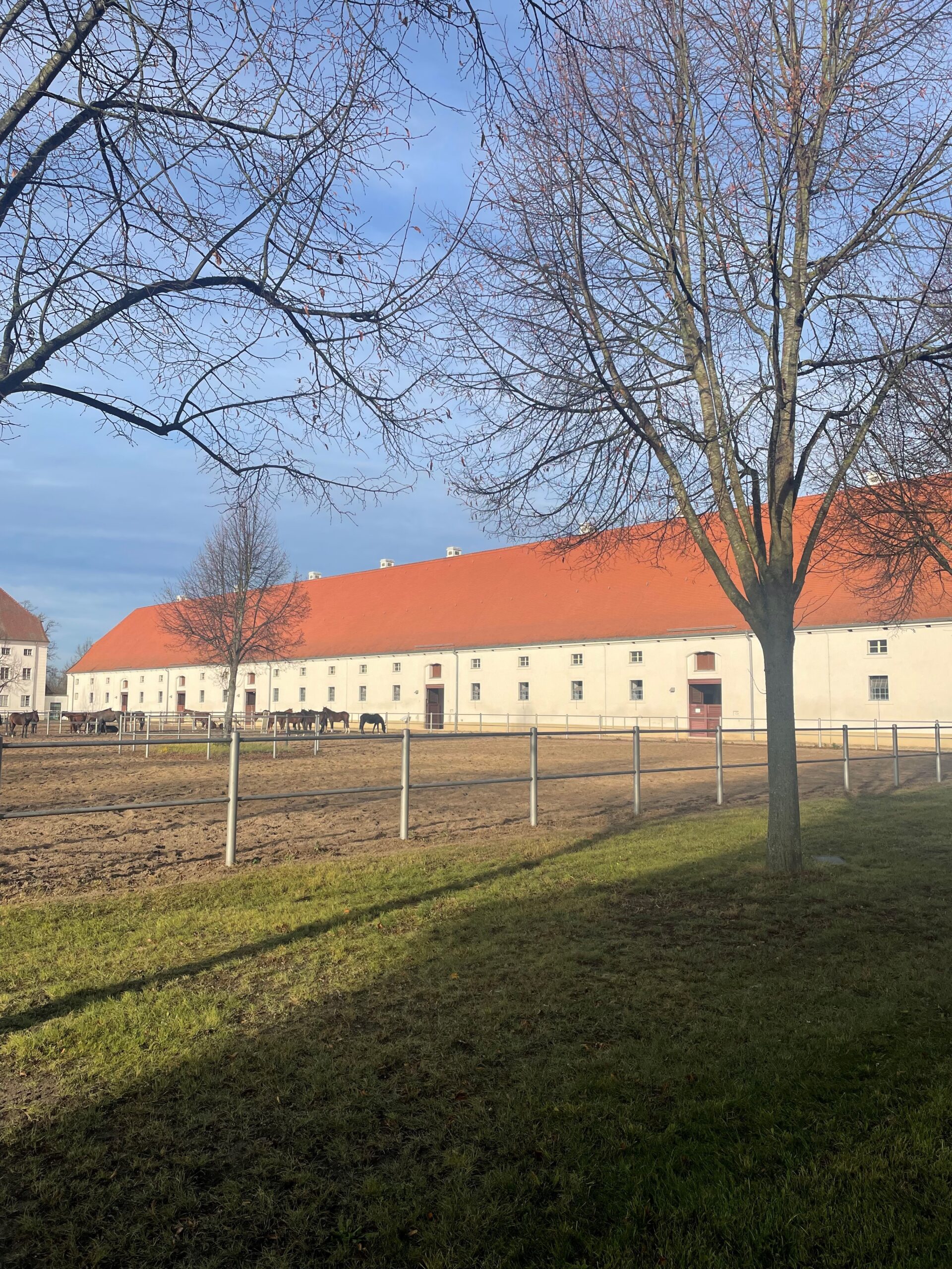großer, langer Stall mit Paddocks davor