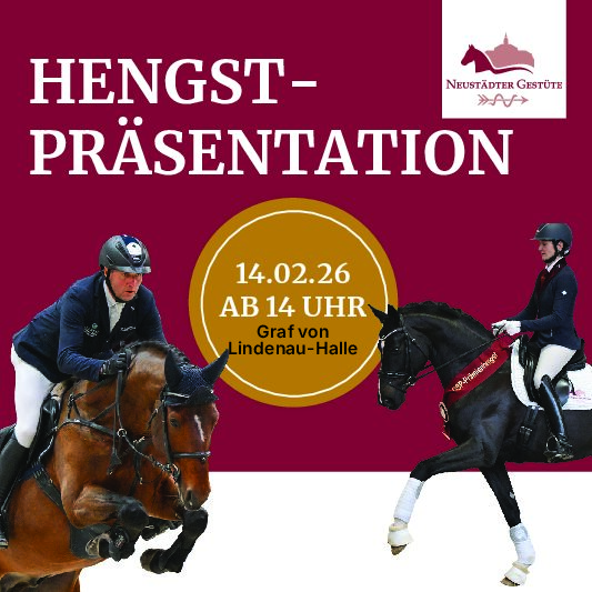 Schlitten gezogen von zwei schwarzen Pferden; im Vordergrund Schnee - Link zur Weihnachtsgalaseite