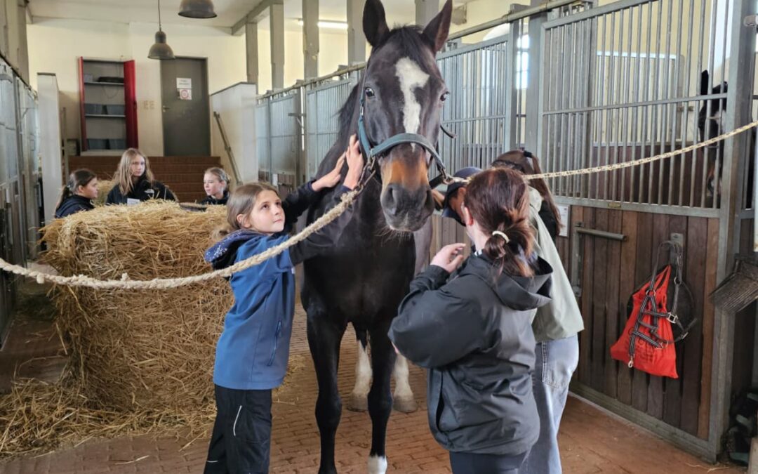 Kinder putzen ein Pferd im Stall
