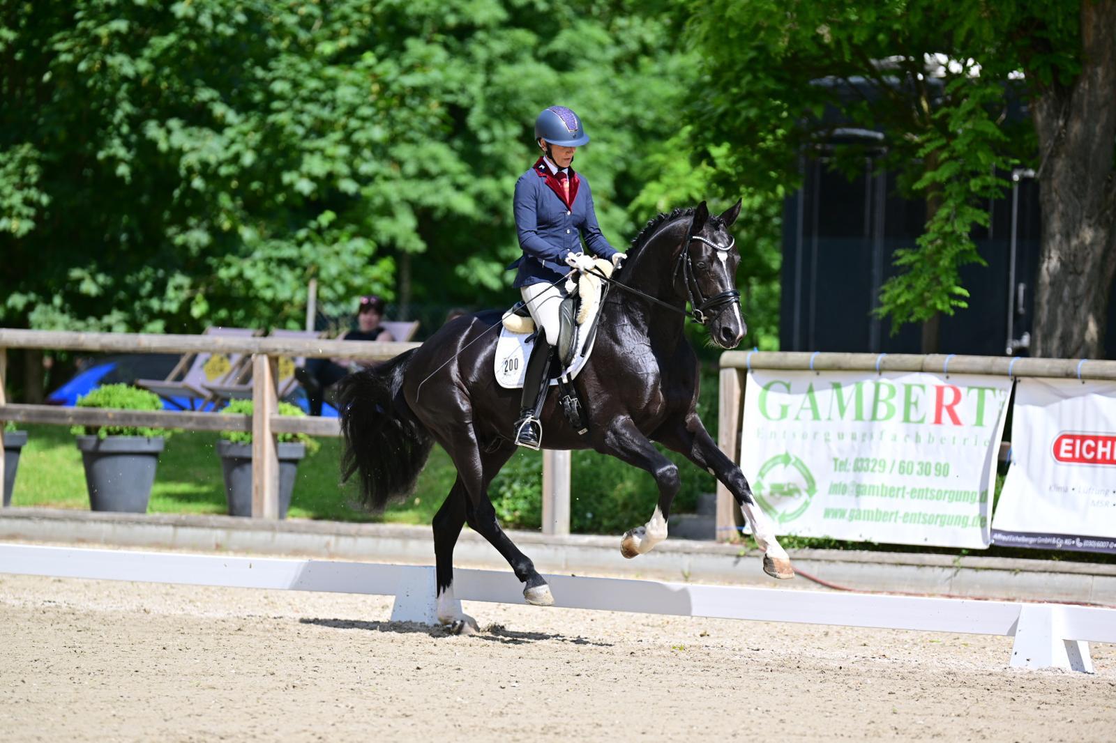 Boccacio in Ruhlsdorf 2026 schwarzer Hengst im Galopp im Dressurviereck mit Reiterin