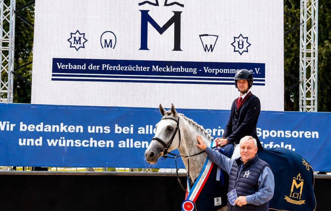 Carneol ist Landeschampion der 4-jährigen Mecklenburger Springpferde